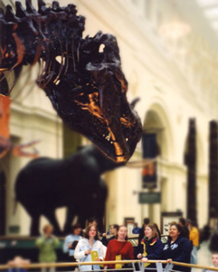 Students looking at a dinosaur in a museum.